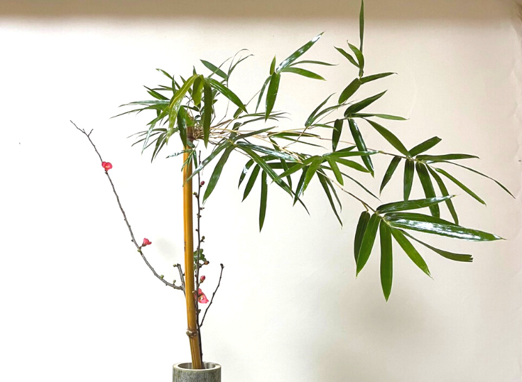 2024年1月　お稽古作品