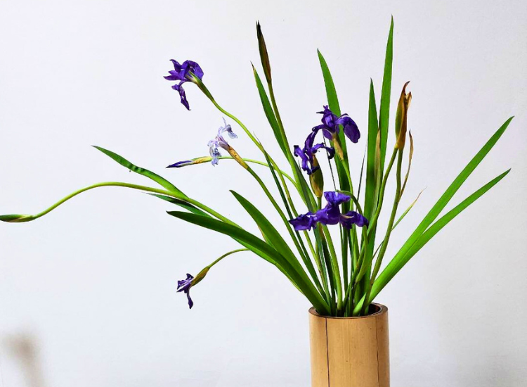 2024年5月　お稽古作品