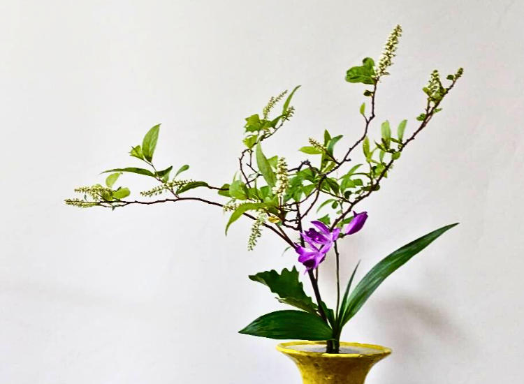 2025年5月お稽古作品