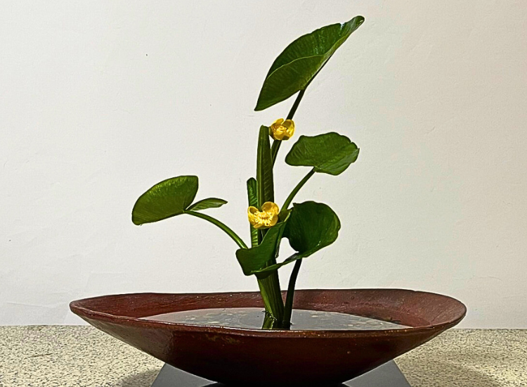 2025年5月お稽古作品