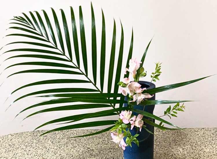 2025年6月お稽古作品