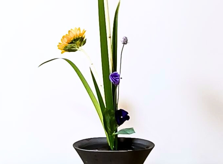 2025年8月お稽古作品