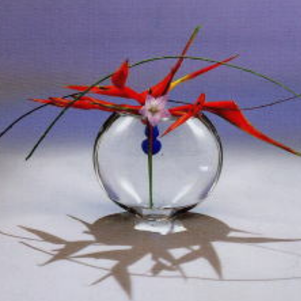 講師紹介　田名網先生作品