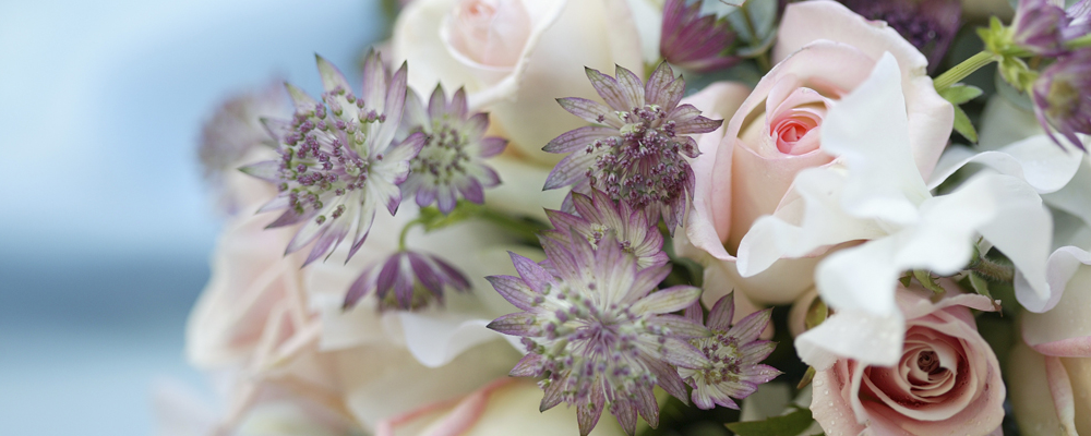 挑戦してみよう、いけばな体験教室