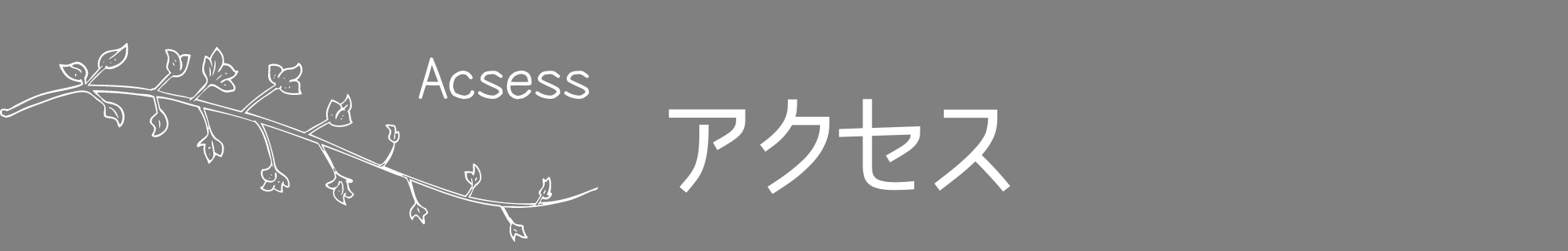 アクセス